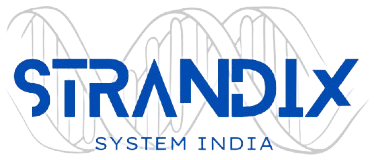 Strandix System Logo